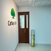 cửa gỗ công nghiệp